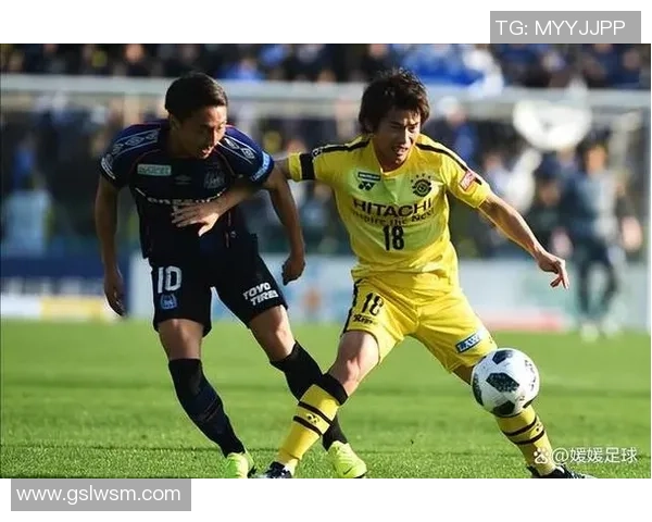 新泻天鹅主场迎战柏太阳神期待精彩对决与胜利之争